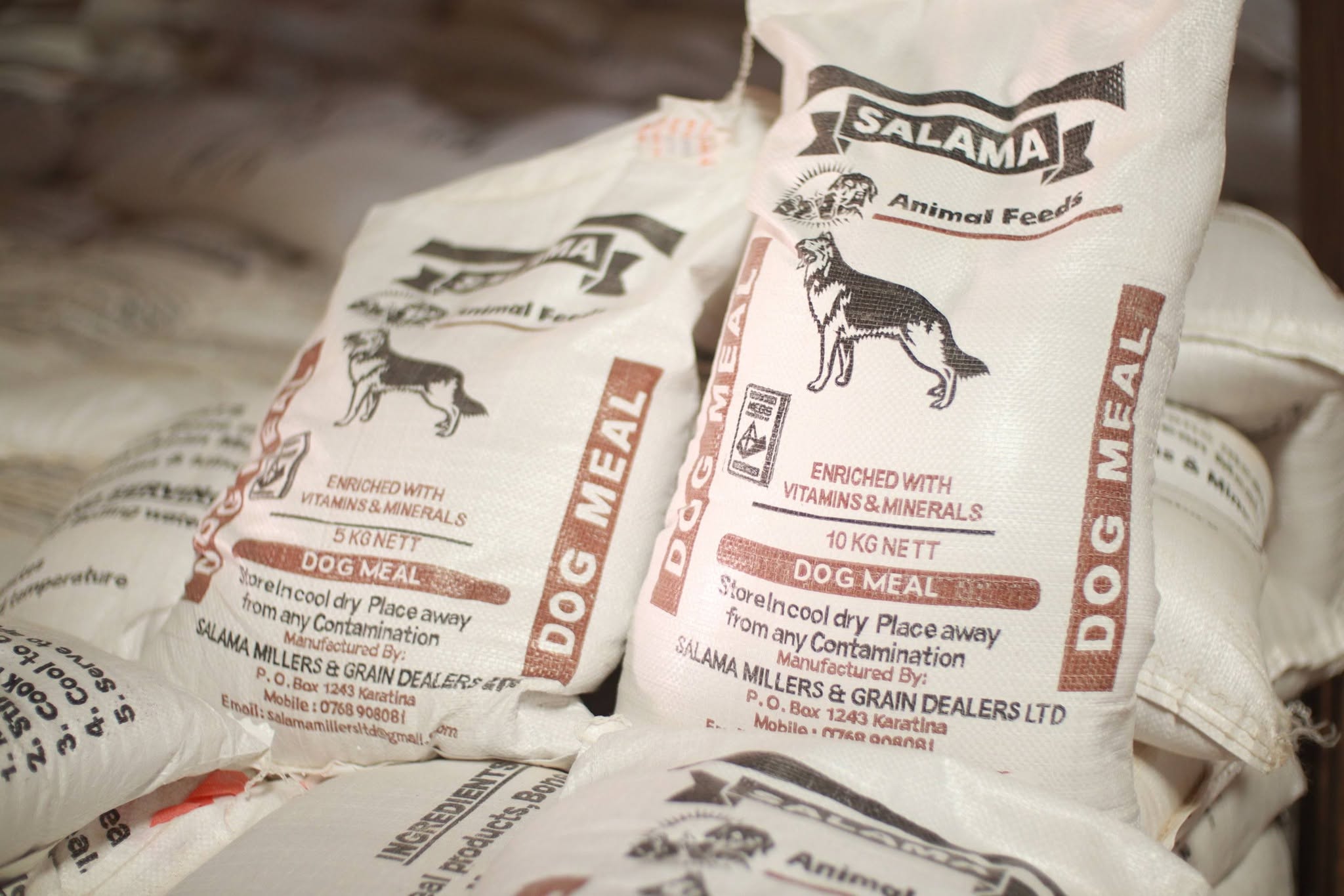 Dog Feed